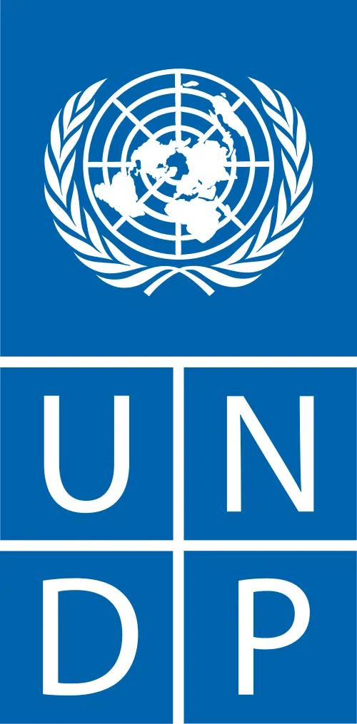 UNDP UNDP